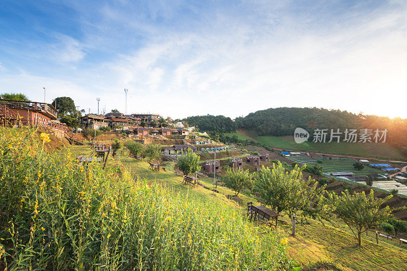 全景自然景观，风景优美的日出和薄雾在泰国北部的山景Doi Inthanon